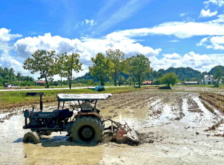 Kadar insentif pembajakan naik RM160 per hektar per musim