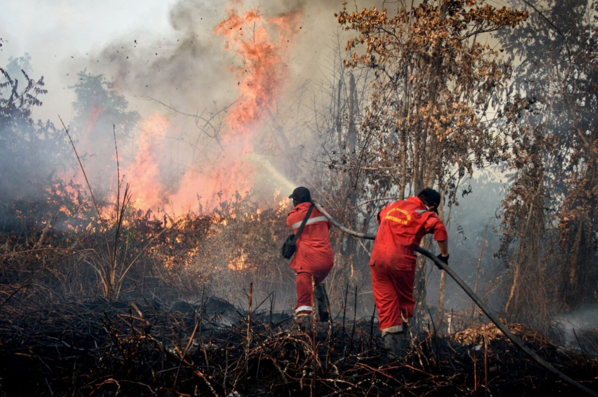 Indonesia kenal pasti 16 suspek cetus kebakaran hutan