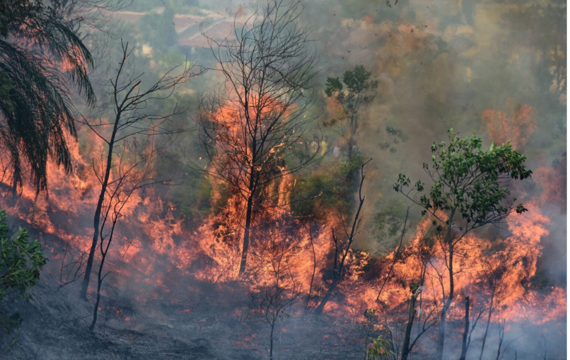 Kebakaran hutan di Riau dijangka melarat sehingga Ogos