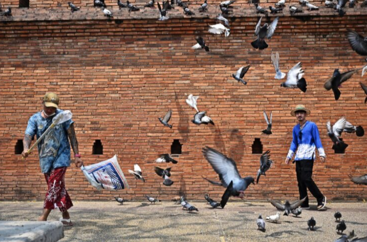 Kalahkan Tokyo, Chiang Mai dinobat Bandar Terbaik Asia 2025