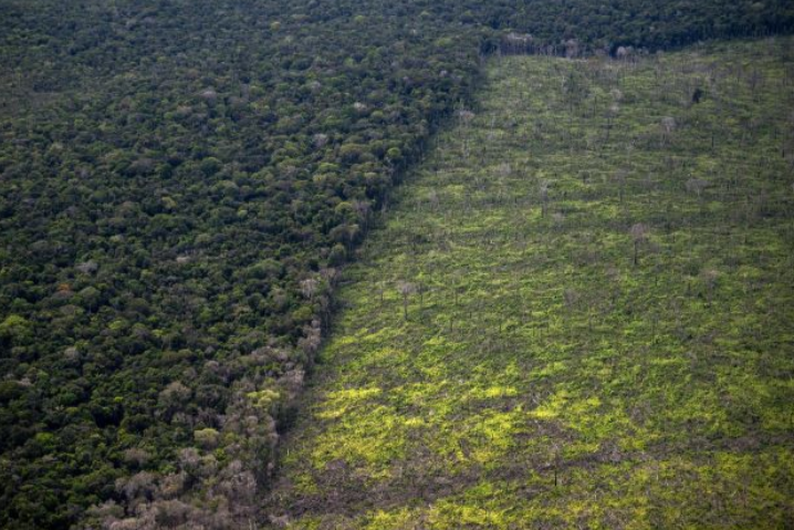 Brazil luluskan RUU ‘Pemusnahan Alam Sekitar’