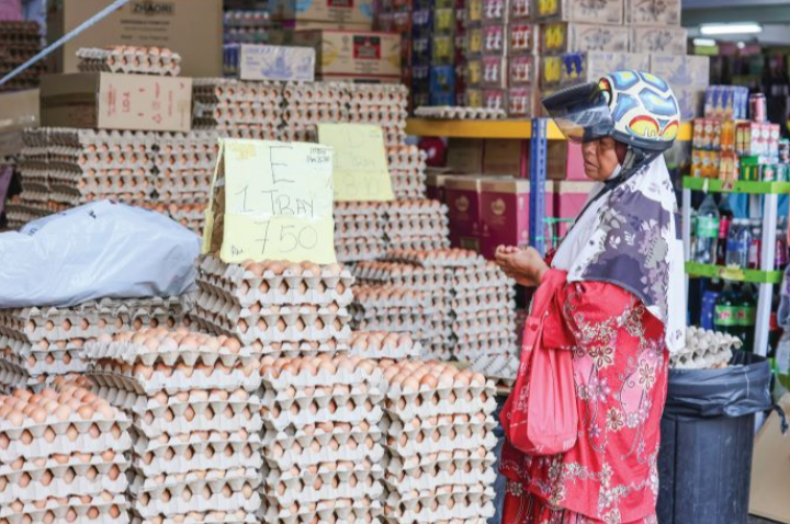Subsidi telur ayam distruktur semula bermula esok