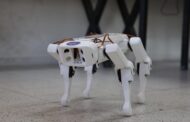 Rakyat Jepun semakin suka ‘pelihara’ robot haiwan AI