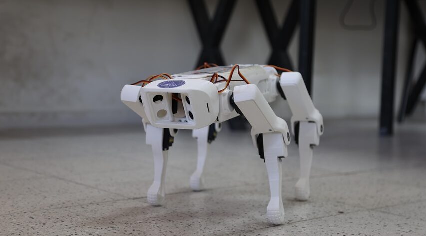 Rakyat Jepun semakin suka ‘pelihara’ robot haiwan AI