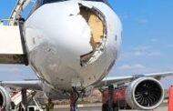 Pesawat Airbus rosak teruk akibat dilanggar burung ketika berlepas dari Sepanyol