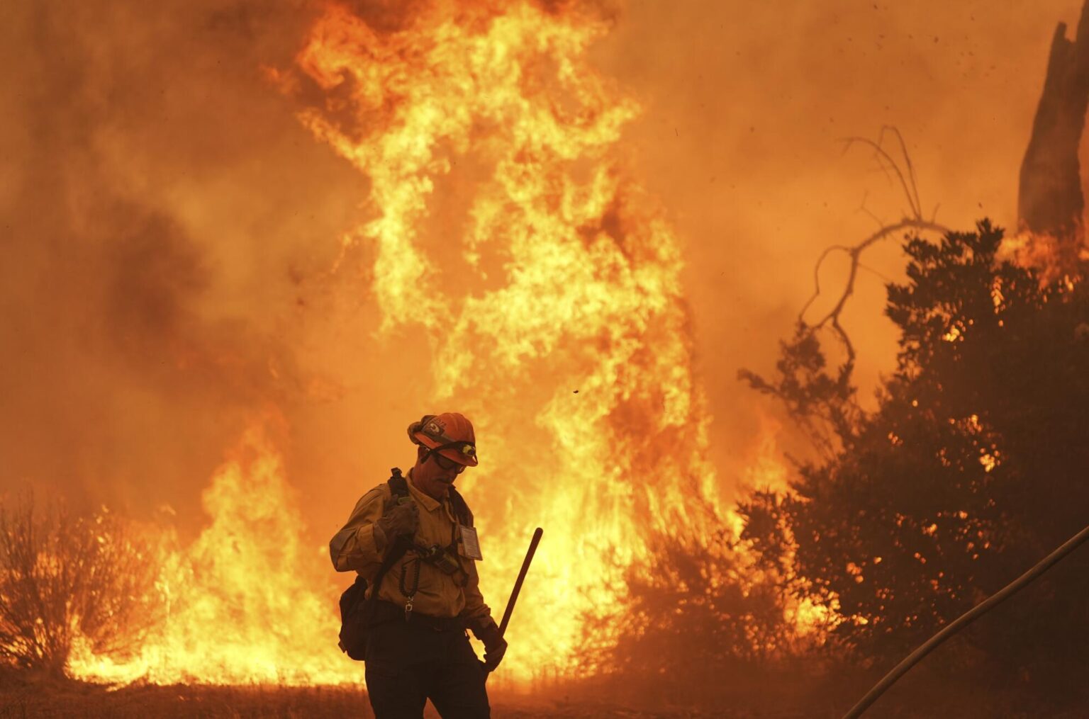 Kebakaran hutan merebak ke utara Los Angeles, ribuan dipindahkan