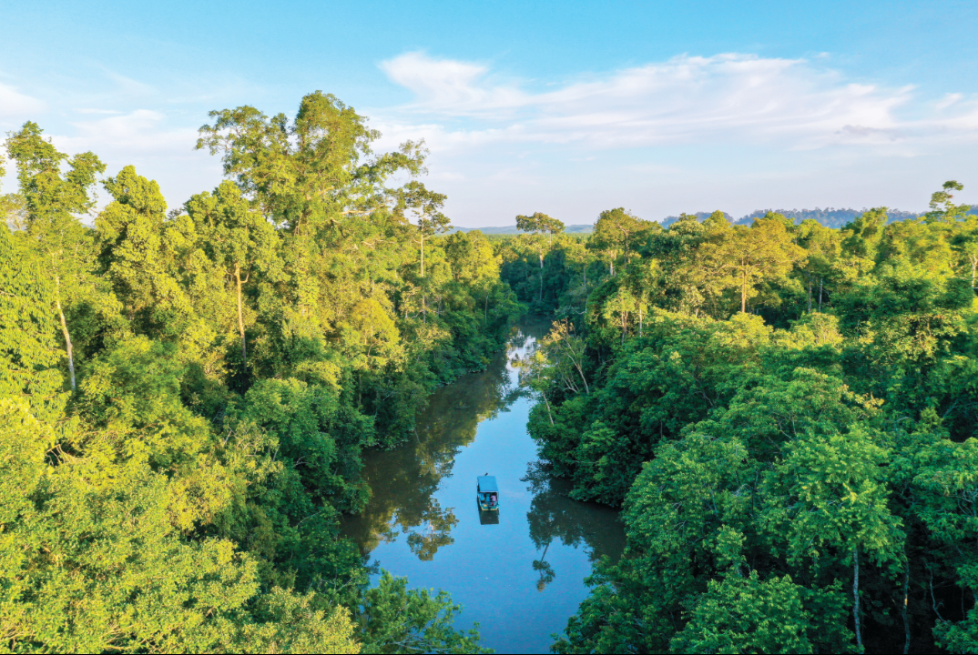 首長：孕育逾千植物與瀕危動物　京那巴登岸獲國際肯定