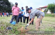 Tuaran cipta MBOR Tanam 10,000 pokok Tangkol serentak