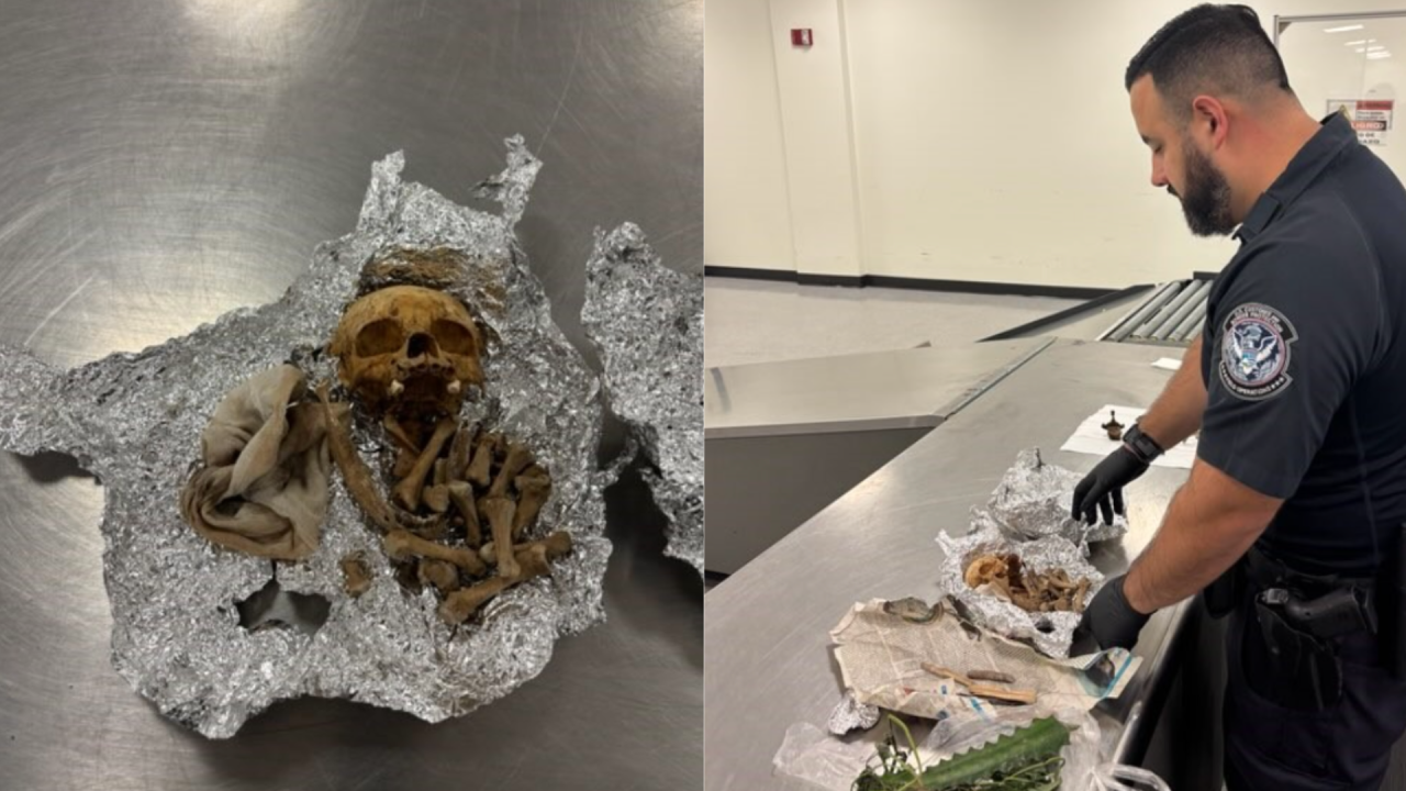 Pelancong bawa rangka manusia di Lapangan Terbang Florida, dakwa untuk ritual