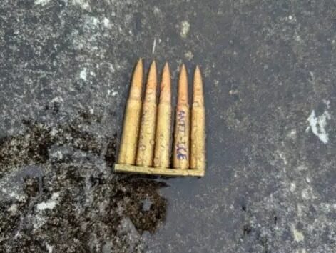 Siasatan FBI sahkan insiden tembakan di Dallas bermotif anti-ICE