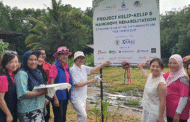 Firefly and Mangrove Project boost for Darau Wetland