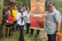 Firefly and Mangrove Project boost for Darau Wetland