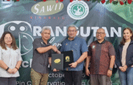Orangutan diplomacy pact strengthens Sabah’s conservation drive