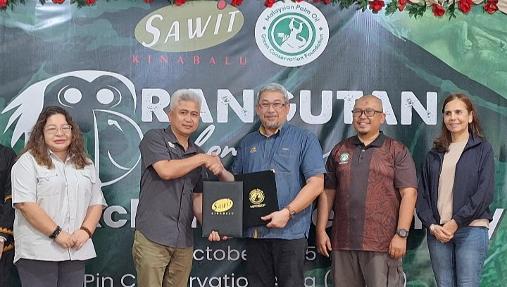Orangutan diplomacy pact strengthens Sabah’s conservation drive
