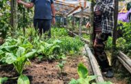Kiulu women nurture community through farming