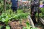 Kiulu women nurture community through farming