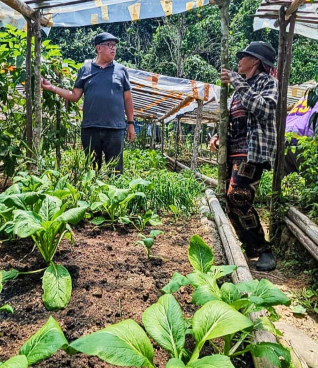 Kiulu women nurture community through farming