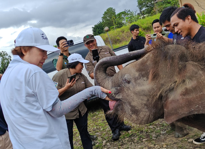 KePKAS ends 2025 on a high note, gear up for VM2026