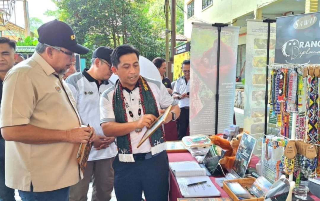 Usaha pemuliharaan orang utan oleh SKG Green tarik perhatian di Hari Orang Utan Sedunia 2025