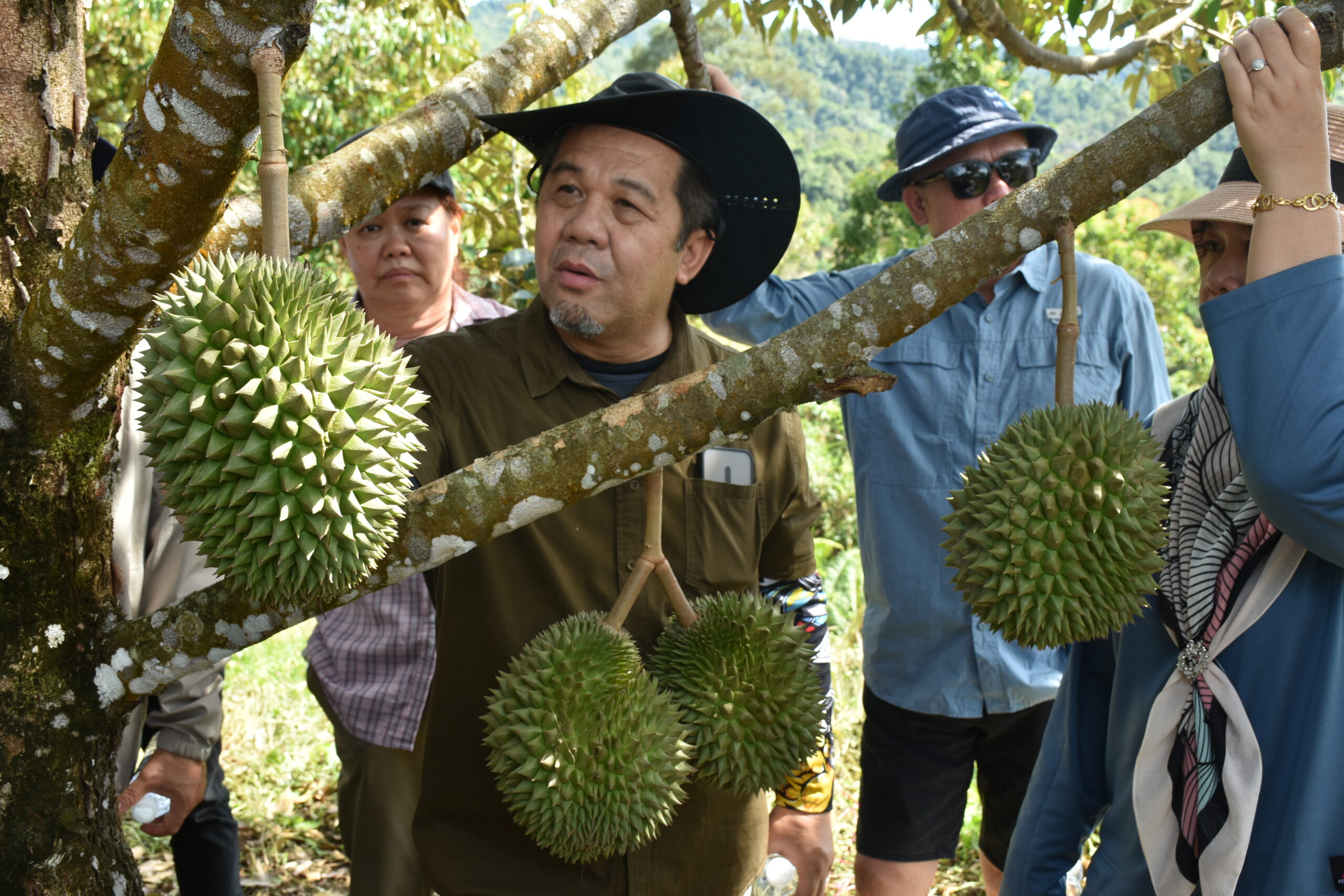 加馬威吁民加強種優質品種 沙放眼拓展高端榴槤出口中國