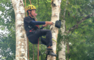 SKG Green strengthens conservation with certified in-house tree climbers