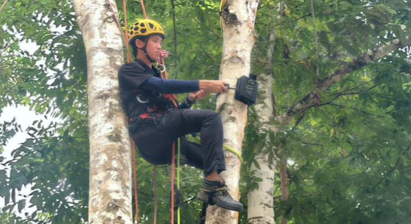 SKG Green perkukuh pemuliharaan dengan pendaki pokok dalaman bersijil