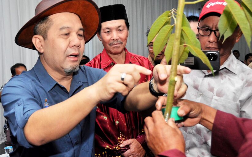 Ranau perkasa industri durian, lembaga khas dicadang bantu pekebun – Jamawi