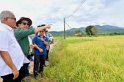 Jagung bijirin berpotensi kurangkan import RM800 juta setahun