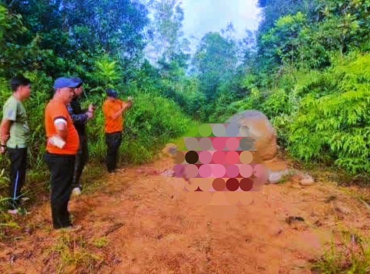 Kematian gajah Borneo di Tongod disyaki jenayah hidupan liar