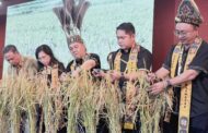 Kaamatan platform perpaduan rakyat Tenom, Kemabong — Jamawi