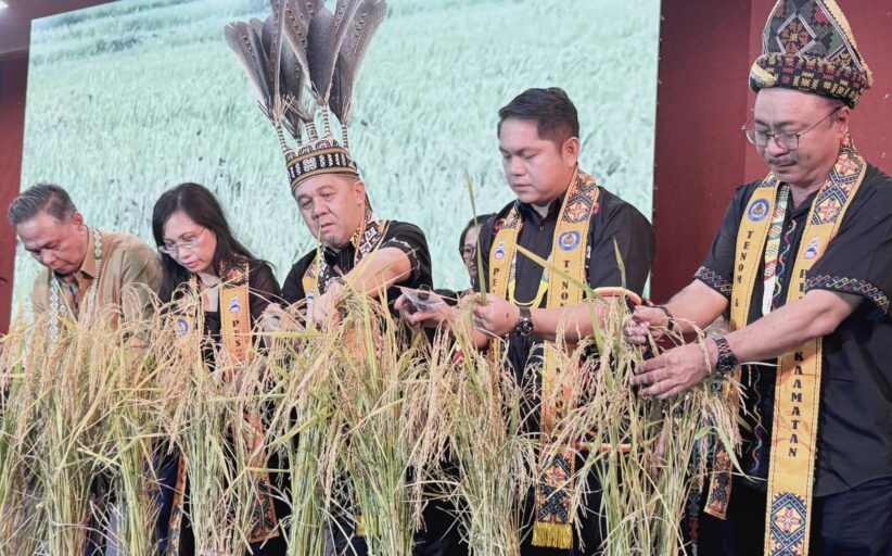 Kaamatan platform perpaduan rakyat Tenom, Kemabong — Jamawi