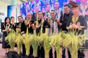 Padi tanah kering fokus baharu tingkat sekuriti makanan Sabah - Jamawi