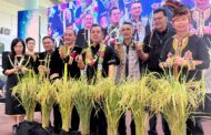 Padi tanah kering fokus baharu tingkat sekuriti makanan Sabah - Jamawi