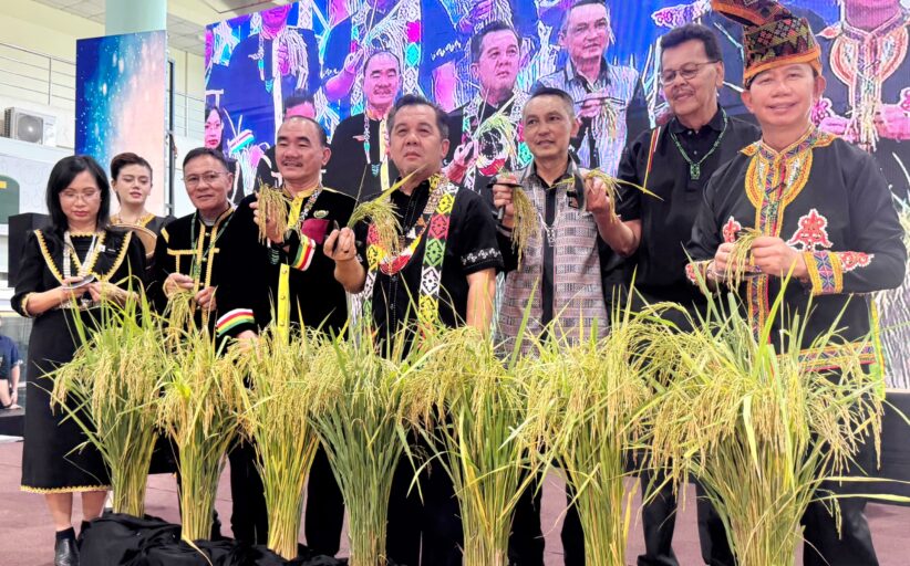 Padi tanah kering fokus baharu tingkat sekuriti makanan Sabah - Jamawi