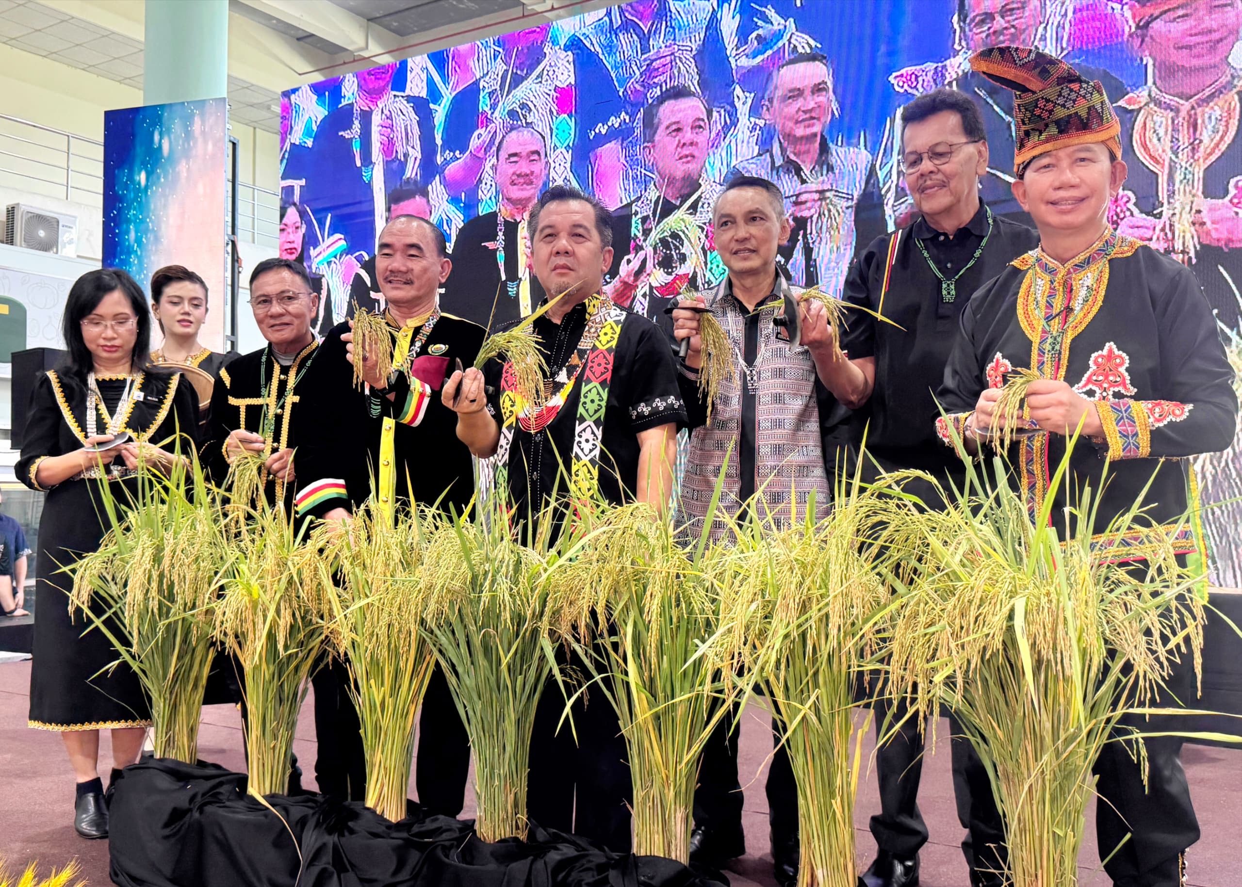 Padi tanah kering fokus baharu tingkat sekuriti makanan Sabah - Jamawi