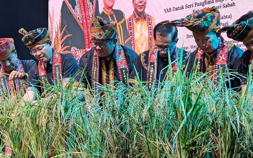 Kaamatan perkukuh perpaduan Sabah - Hajiji