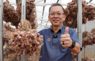 MARDI perkasa bawang merah tempatan