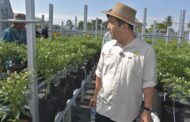 Sokong pertanian berkualiti, lindungi petani tempatan