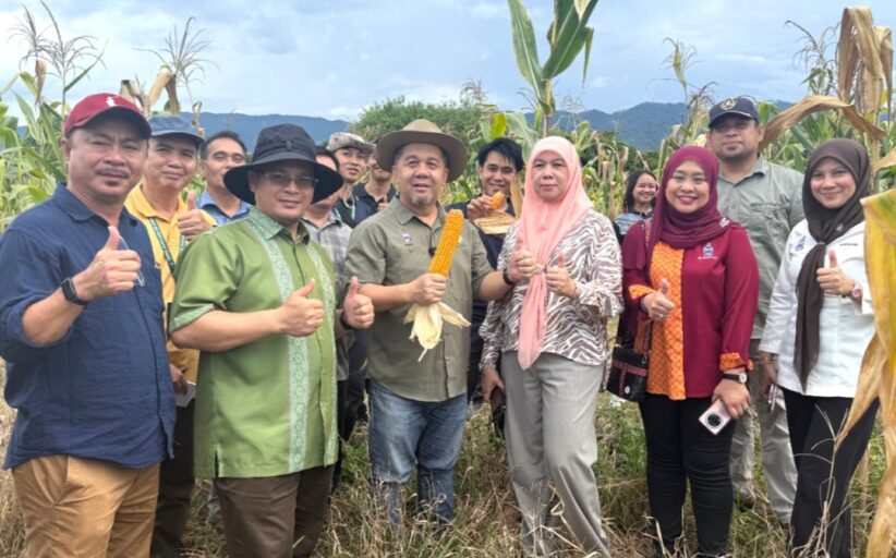Pusat benih Lagud Sebrang bantu penuhi keperluan petani, penternak - Jamawi
