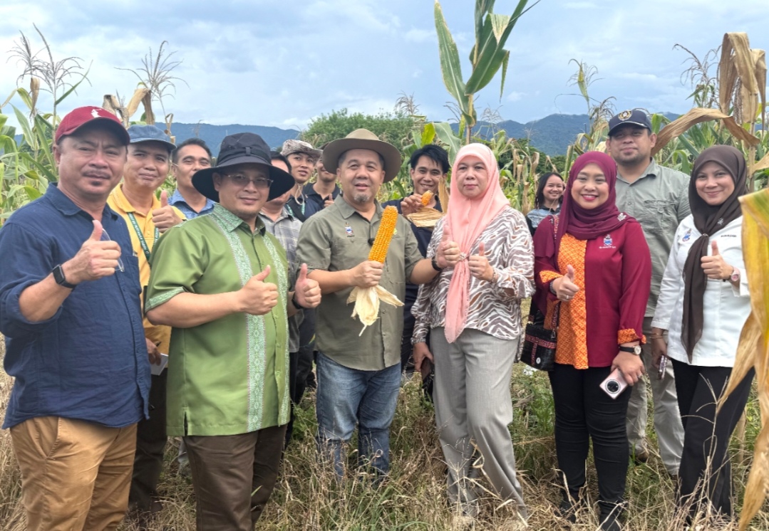 Pusat benih Lagud Sebrang bantu penuhi keperluan petani, penternak - Jamawi