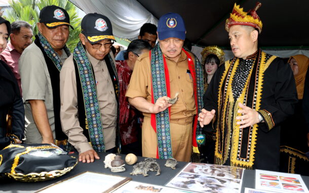 AI to strengthen security in ESSZone - Hajiji