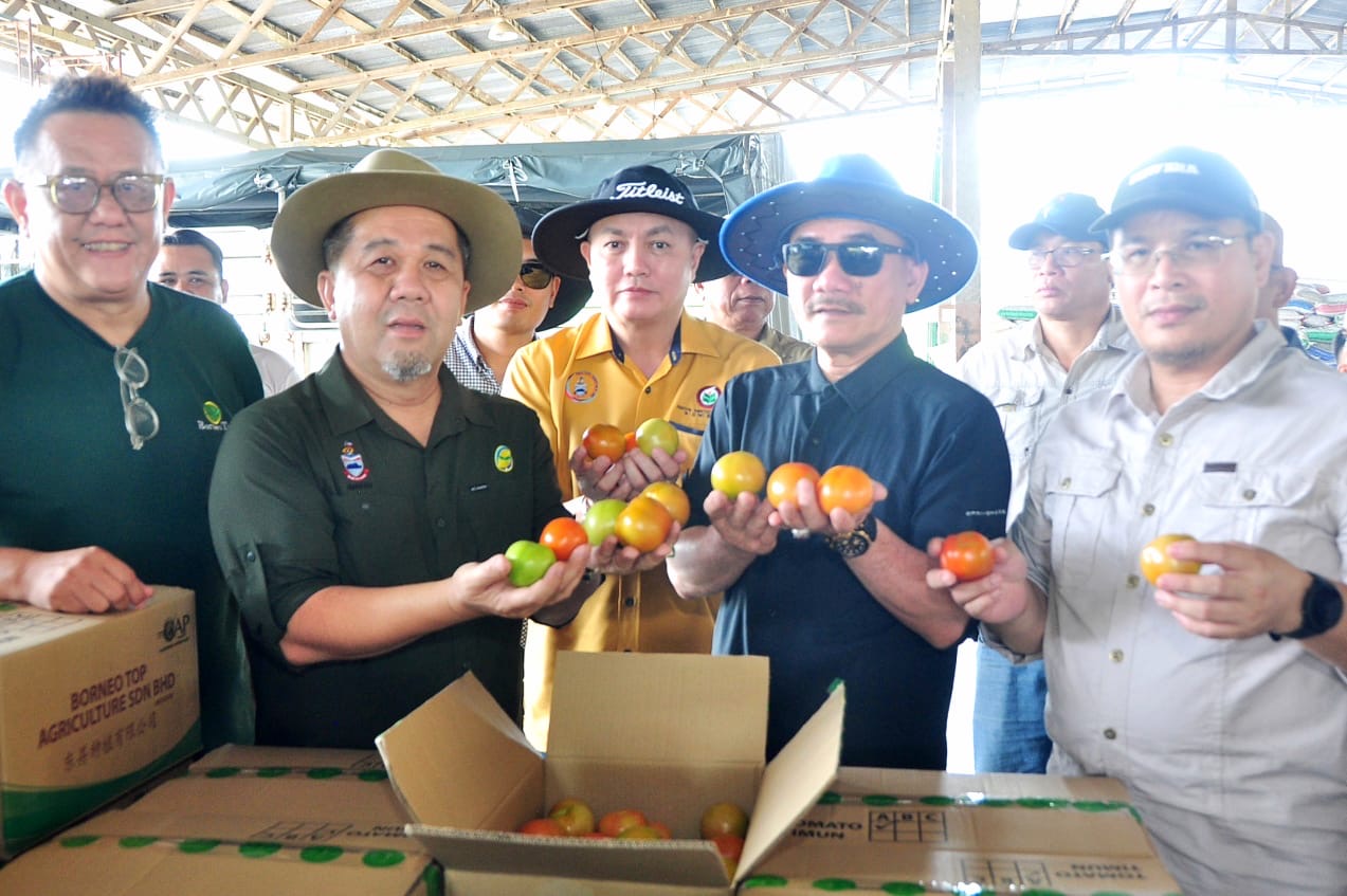 Pengusaha pertanian tempatan bantu kurangkan import makanan