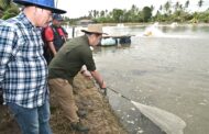 Kerajaan Negeri bantu pengusaha udang Beaufort tingkat pengeluaran