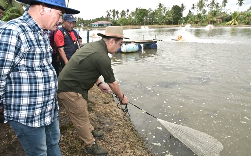 Kerajaan Negeri bantu pengusaha udang Beaufort tingkat pengeluaran