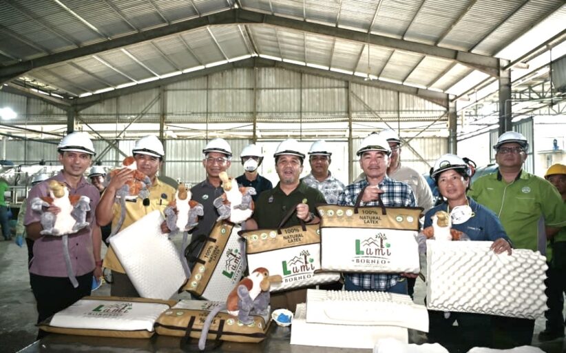 LIGS tambah nilai lateks melalui pengeluaran bantal