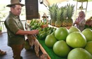 Sabah sasar 600 hektar penanaman avokado menjelang 2035