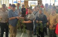 Pengusaha pelancongan Kiulu terima 1,000 tunas vanila