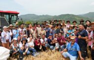 TR8 berpotensi hasil sehingga 10 tan sehektar