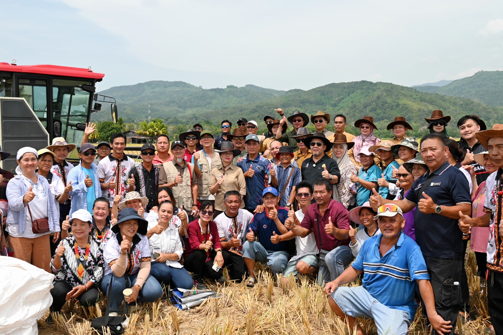 TR8 berpotensi hasil sehingga 10 tan sehektar