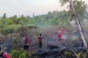 Jumlah titik panas di Kalimantan meningkat lebih 50 peratus